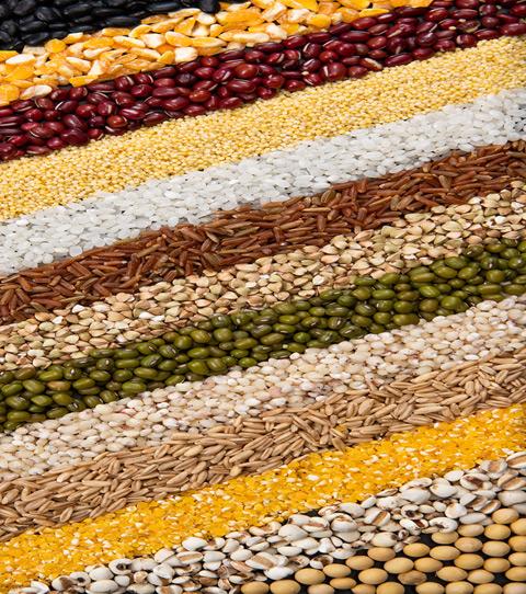 Trieur de couleurs de grains AI